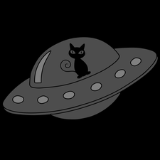 astronave con gatto